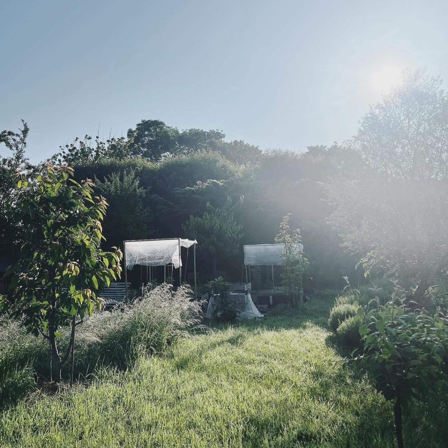 Gite - La Clochette Lugon et l’Ile du Carney Buitenkant foto